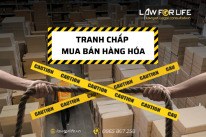 Giải quyết tranh chấp mua bán hàng hóa tại Hồ Chí Minh