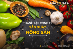 Thành lập công ty sản xuất nông sản