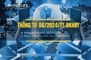 Thông tư 06/2024/TT-BKHĐT hướng dẫn đấu thầu trên Hệ thống mạng đấu thầu quốc gia