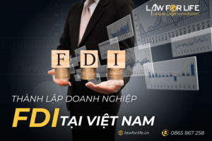 Thủ tục thành lập công ty/doanh nghiệp FDI tại Việt Nam