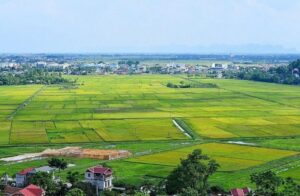 Khi nào phải nộp tiền sử dụng đất?