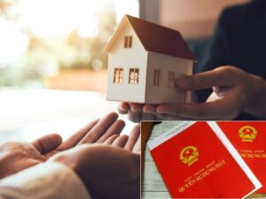 Cha mẹ cho con đất có cần chữ ký của những người con khác?