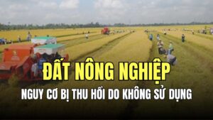 4 trường hợp đất không sử dụng sẽ bị thu hồi